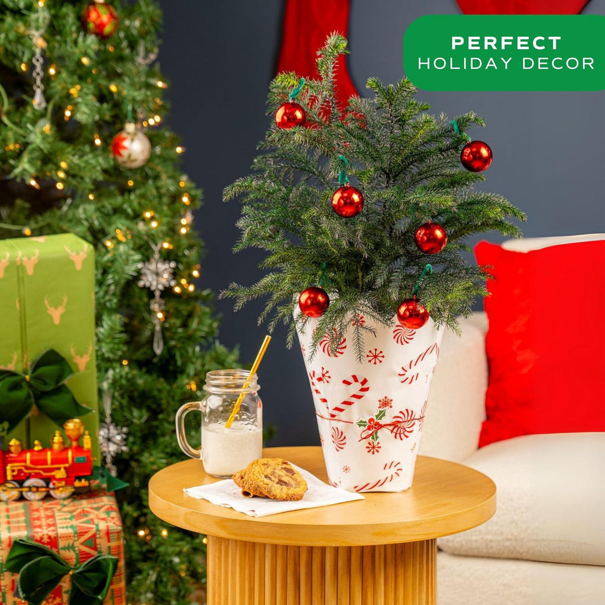 Costa Farms Live Christmas Tree, 18 to 20-Inches Tall, Decorated with Christmas Gift Wrap