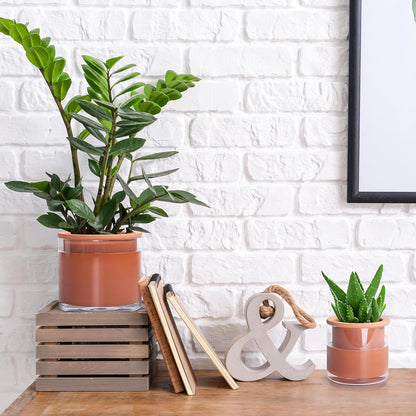 Phoenix Vine 4 Inch 6 Inch Self Watering Plants Pots, Design Terracotta Pots for Plants, Indoor
