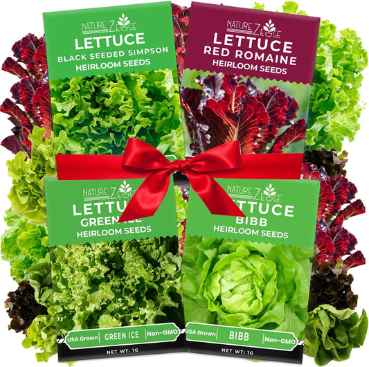 Lettuce Seeds for Planting, Red Romaine Lettuce, Bibb Butter Lettuce, Black Seeded Simpson, Green