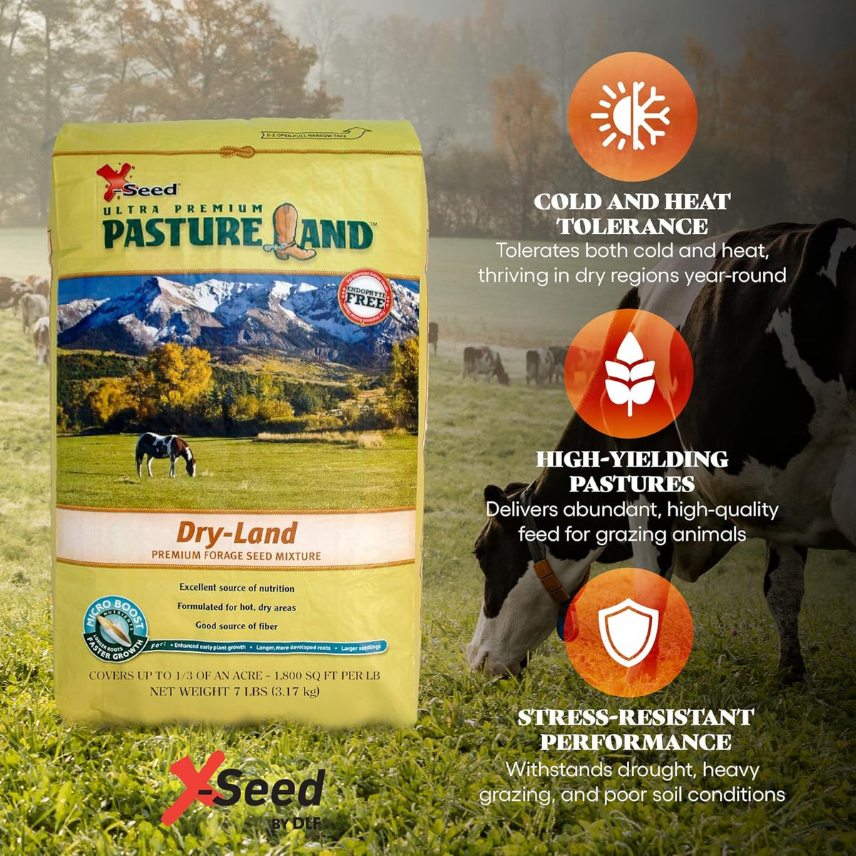 X-Seed Pasture Land Dry-Land Forage Seed Mixture with Micro-Boost – Tall Fescue Orchard Grass