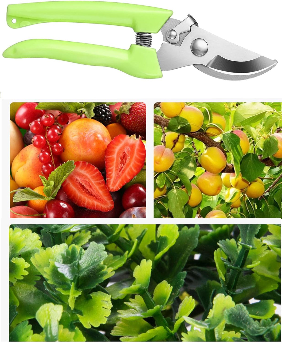 Garden Flower Shears Pruning Shears 6.9 inches Scissors Heavy Duty Plant Scissors for Cutting
