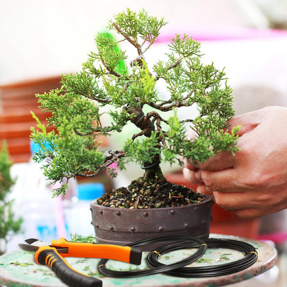 5 Roll Aluminum Bonsai Training Wire & Cutter Set - 160 Feet Total with Adjustable Anodized Wire