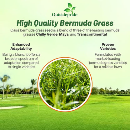 Outsidepride Oasis Bermuda Grass Seed - 10 lbs Warm Season, High Traffic, Heat Resistant