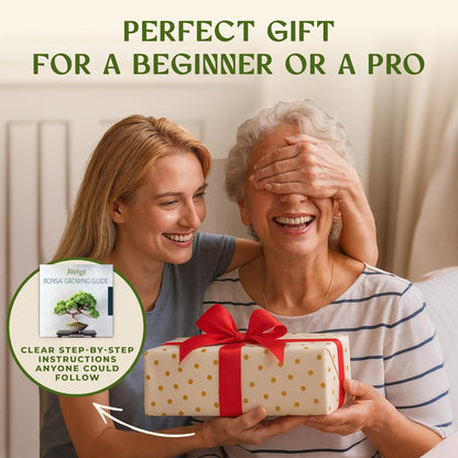 AVERGO Bonsai Tree Kit for Beginners – 5X Unique Japanese Bonzai Trees | Complete Indoor Starter