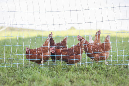 Starkline 42" x 164' Standard Electric Poultry Netting Kit with A/C Energizer (11/42/3) Electric