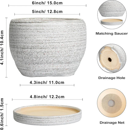 SQOWL Ceramic Planters for Indoor Plants - 6 Inch Plant Pot with Drainage Hole and Saucer, Small