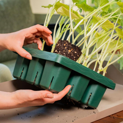 Vego garden Giga Seedling Trays - 8 Pack, 9-Cell UV-Resistant Reusable Starter Trays for