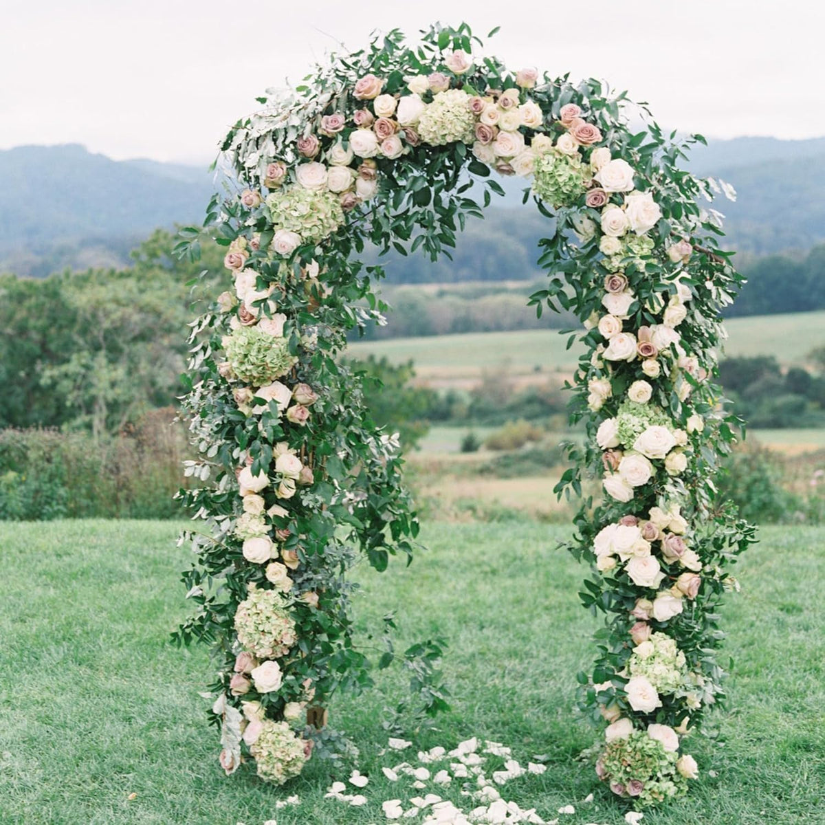 Garden Arch Trellis Metal Garden Arbor for Various Climbing Plant, Wedding Arches for Ceremony