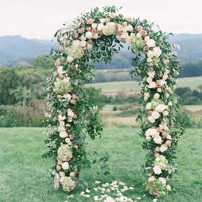 Garden Arch Trellis Metal Garden Arbor for Various Climbing Plant, Wedding Arches for Ceremony