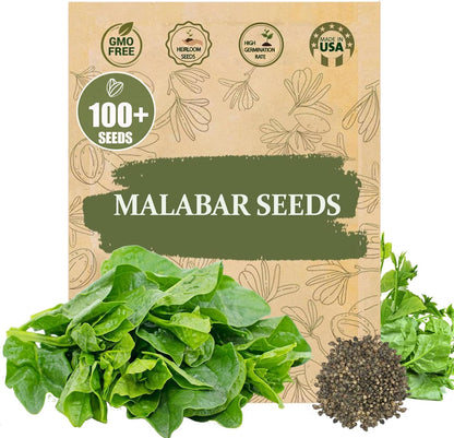 Premium Malabar Spinach Seeds - 100 Heirloom, Non-GMO Seeds for Planting – Easy-to-Grow Climbing