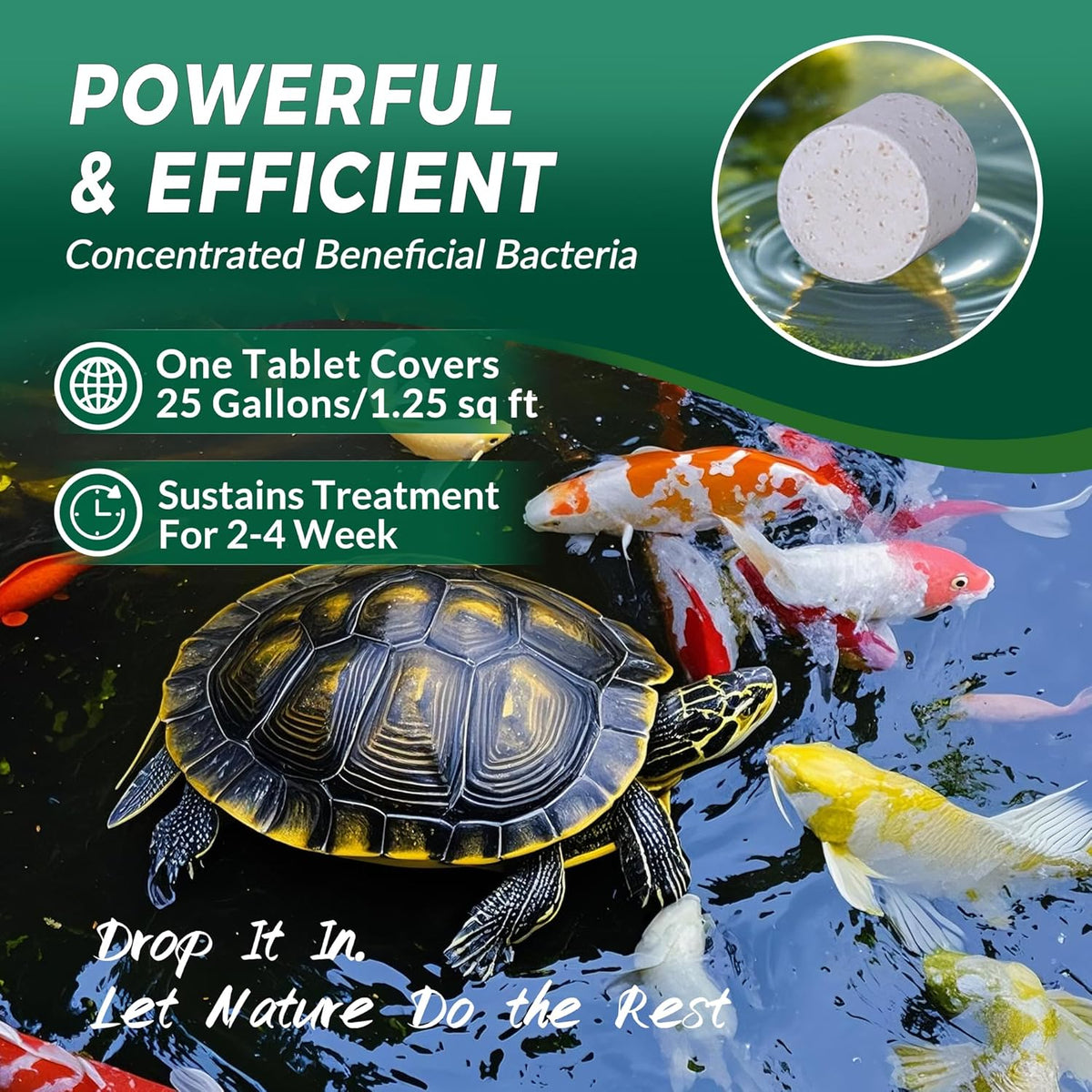 Muck Clear – Natural Pond Sludge Treatment, 2 LB for Ponds, Fountains & Bird Baths, Beneficial