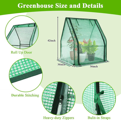 U'Artlines Portable Mini Greenhouse Small Green House with Waterproof Pad 36x36x42 Inch Plant Cover