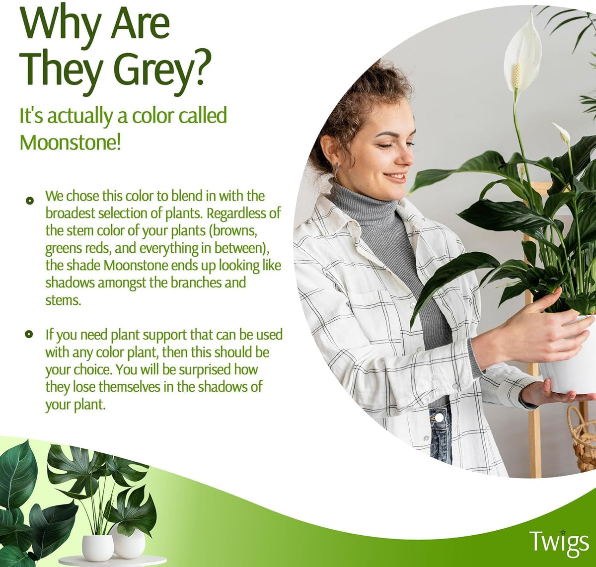 Plant Support Stakes, Stem Holder Structures for Indoor & Outdoor Use, Garden Accessories for