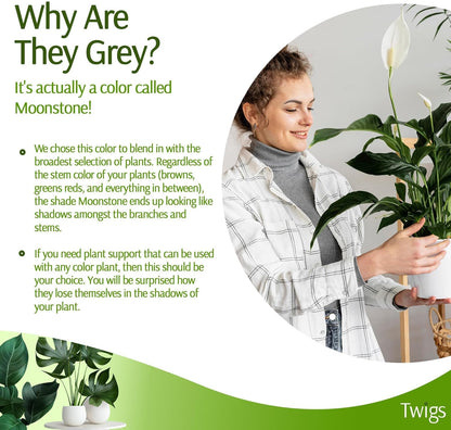 Plant Support Stakes, Stem Holder Structures for Indoor & Outdoor Use, Garden Accessories for