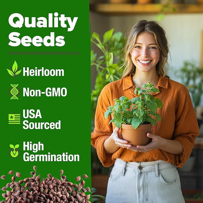 HOME GROWN 𝗨𝗦𝗔 𝗣𝗥𝗘𝗠𝗜𝗨𝗠 Catnip Seeds (Bulk Pack) 𝗡𝗢𝗡-𝗚𝗠𝗢 Heirloom Herb 2,116 Seeds