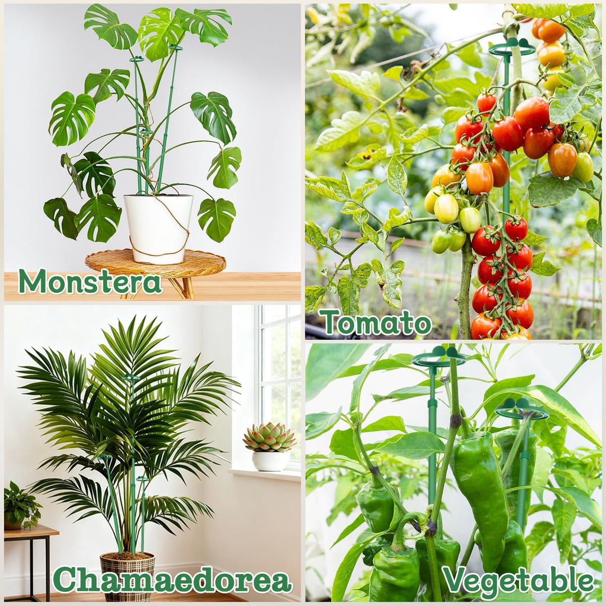 Extendable Plant Stakes,Adjustable Length from 17.9IN to 42.3IN Monstera Support Stakes with