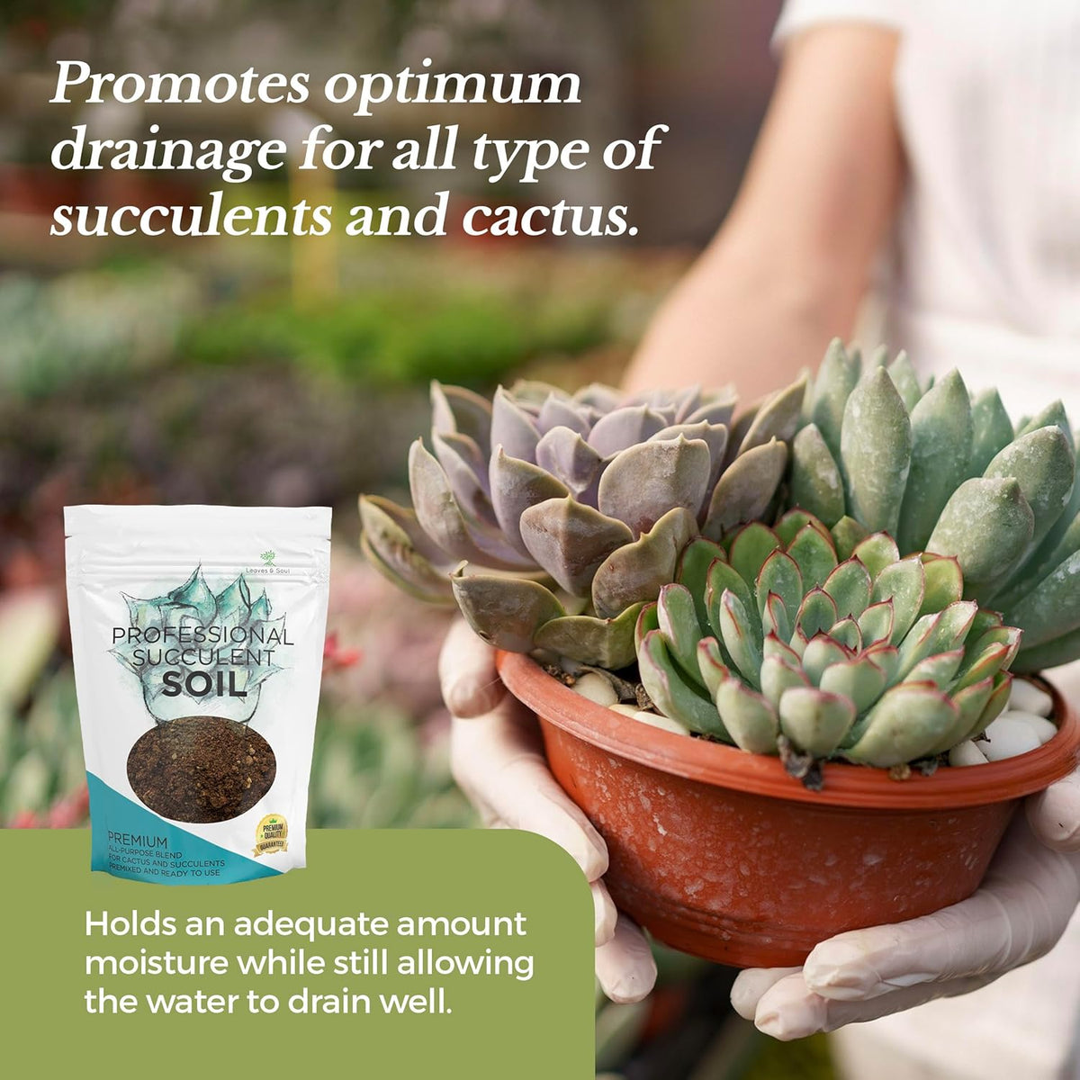 Extra Large 8.2 QT Bag Succulent Soil Premium All Purpose Blend | Pre-Mixed Ready to Use for Cactus