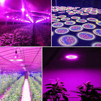 highydroLED 2Pack 156 LED Full Spectrum Plant Light, E27 Grow Light Bulb for Indoor Plants, Plant