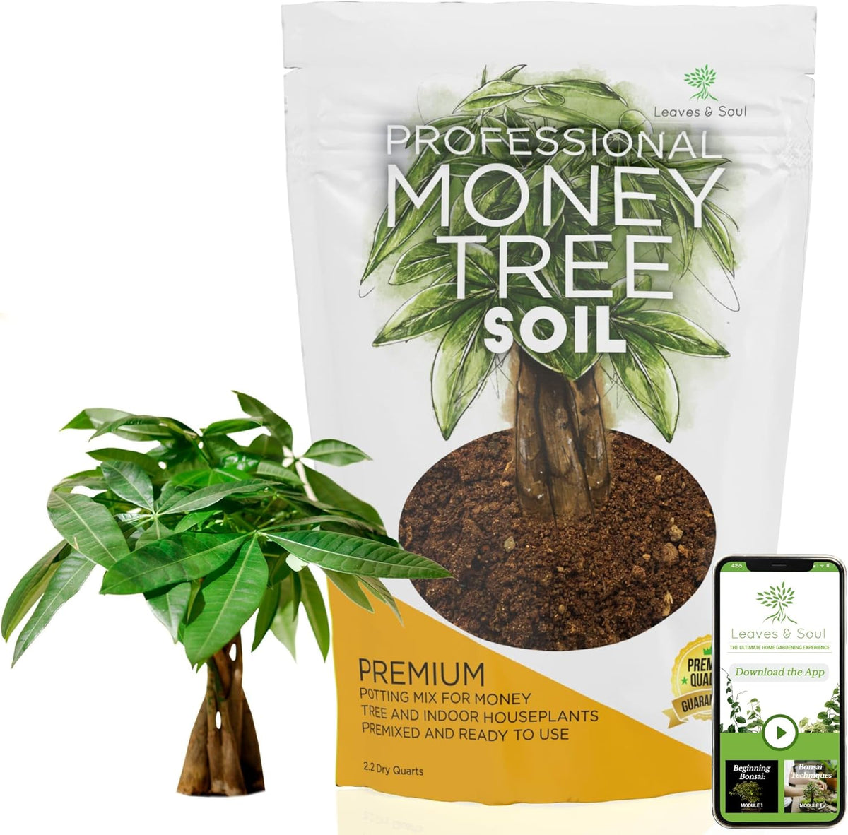 Professional Money Tree Soil | Large 2.2 Quarts Ready to Use for Money Tree Plants | Peat Moss