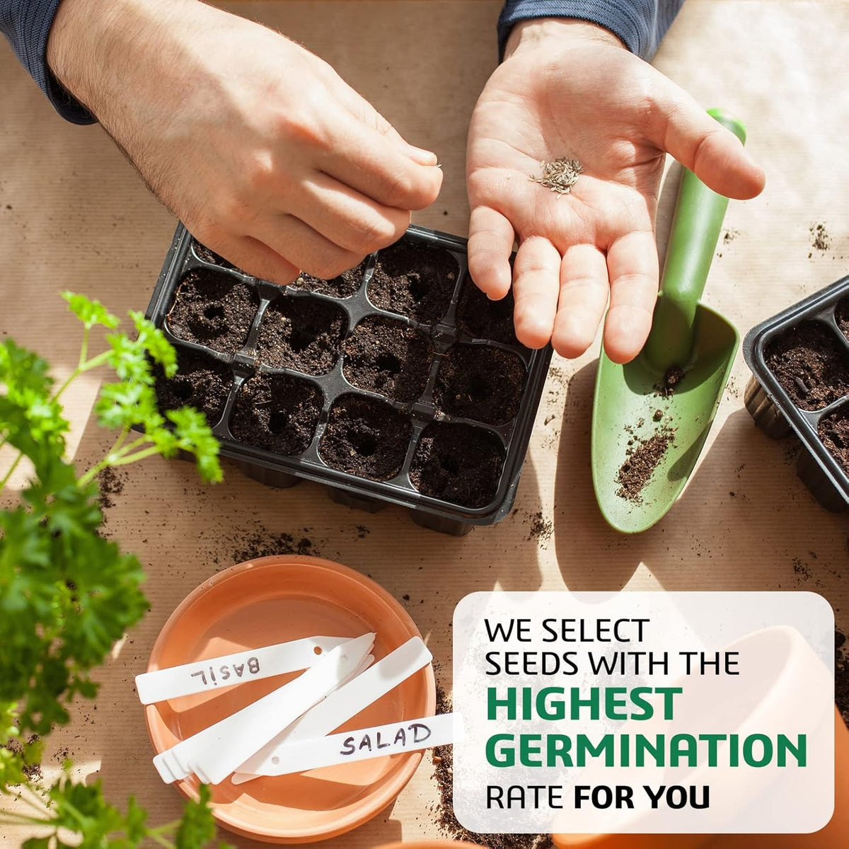 10 Kit Non-GMO Growing into Thyme, Lavender, Chamomile, Dill, Chives, Cilantro, Rosemary, Basil