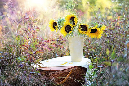 Set of 200 Flower Seed Packets - Flower Seeds in Bulk - 15 or More Varieties Available - Great for