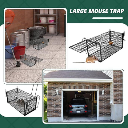 Qualirey 6 Pcs Humane Rat Trap Small Chipmunk Mouse Squirrel Cage Rodent Animal Voles Hamsters Cage