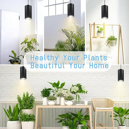 Plant Hanging Grow Light Full Spectrum Warm White Color with Timer, Plug-in Pendant Grow