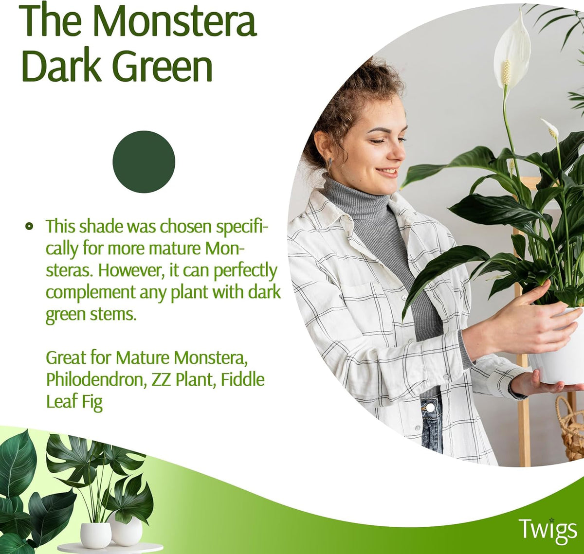 Plant Support Stakes, Stem Holder Structures for Indoor & Outdoor Use, Garden Accessories for
