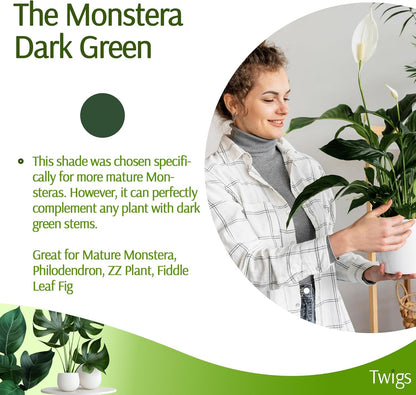 Plant Support Stakes, Stem Holder Structures for Indoor & Outdoor Use, Garden Accessories for