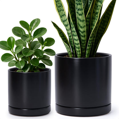 D'vine Dev 6.5 Inch & 8.2 Inch Ceramic Planter Pots for Plants with Drainage Hole and Saucer