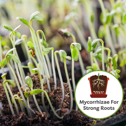 Perfect Plants Organic Seed Starter Soil Mix 4qt. | Contains Worm Castings and Mycorrhizae |