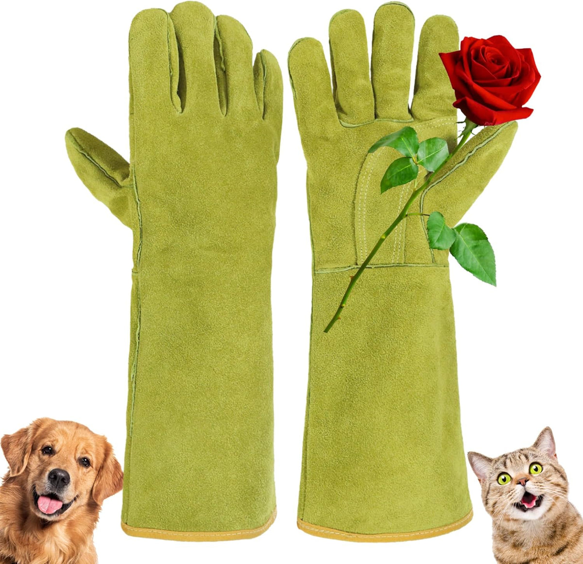 HANDLANDY Animal Handling Gloves, Bite Proof Cat Gloves, Ideal for Rose Pruning, Gardening