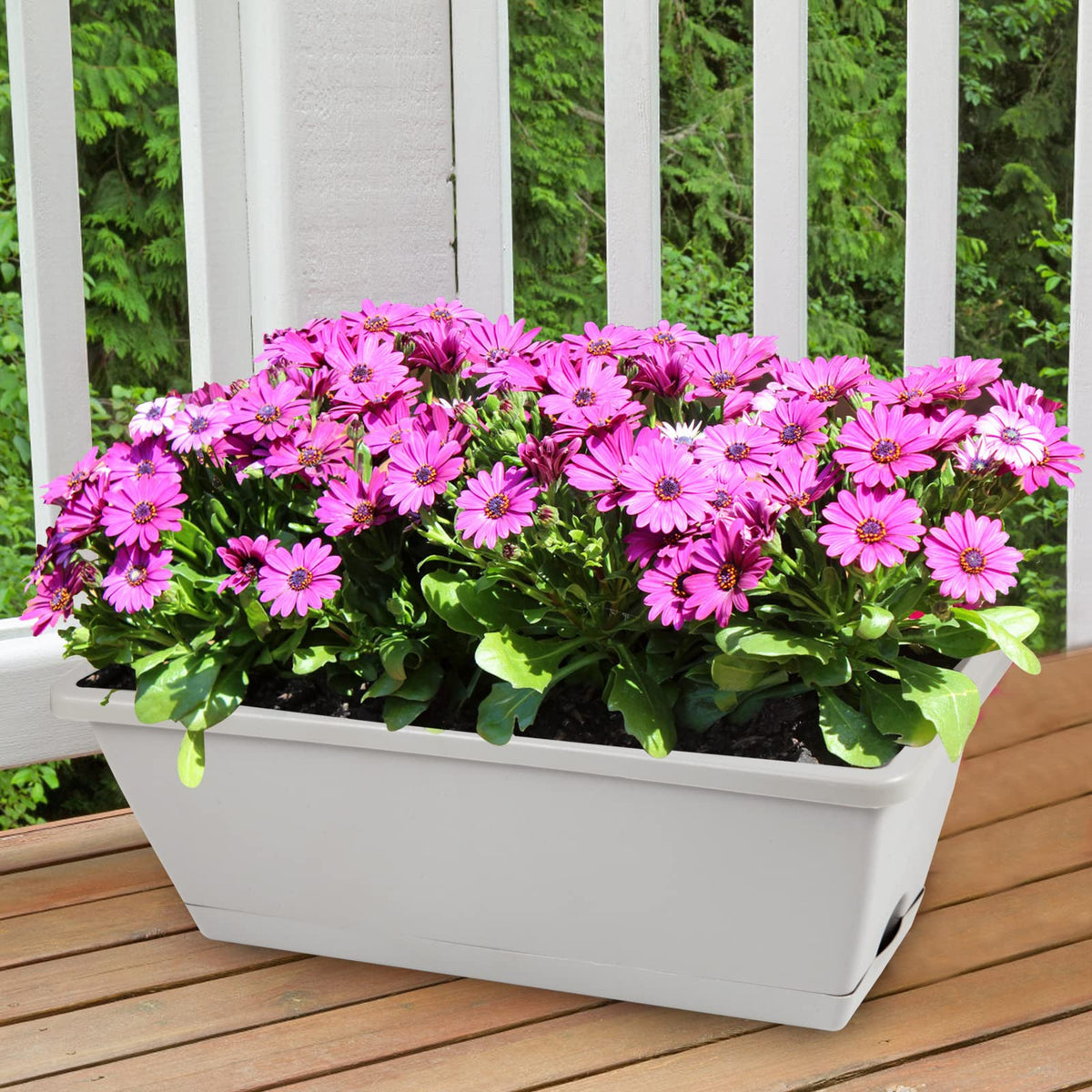 8pcs Window Box Planter, 17 Inches Flower Window Boxes, Rectangle Planters Box with Drainage Holes