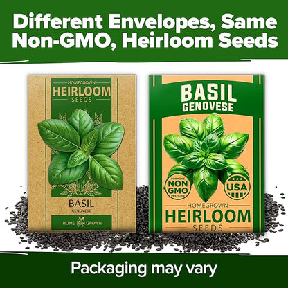 HOME GROWN 𝗨𝗦𝗔 𝗣𝗥𝗘𝗠𝗜𝗨𝗠 Genovese Basil Seeds Pack 1,750+ High Germination 𝗡𝗢𝗡-𝗚𝗠𝗢