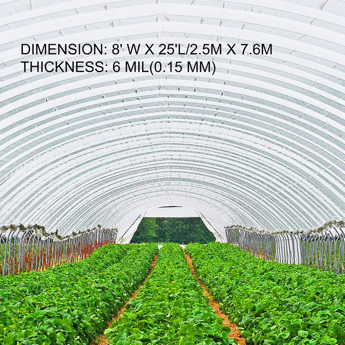 VEVOR Greenhouse Plastic Sheeting 8 x 25 ft, 6 Mil Thickness UV Resistant Clear Polyethylene Film