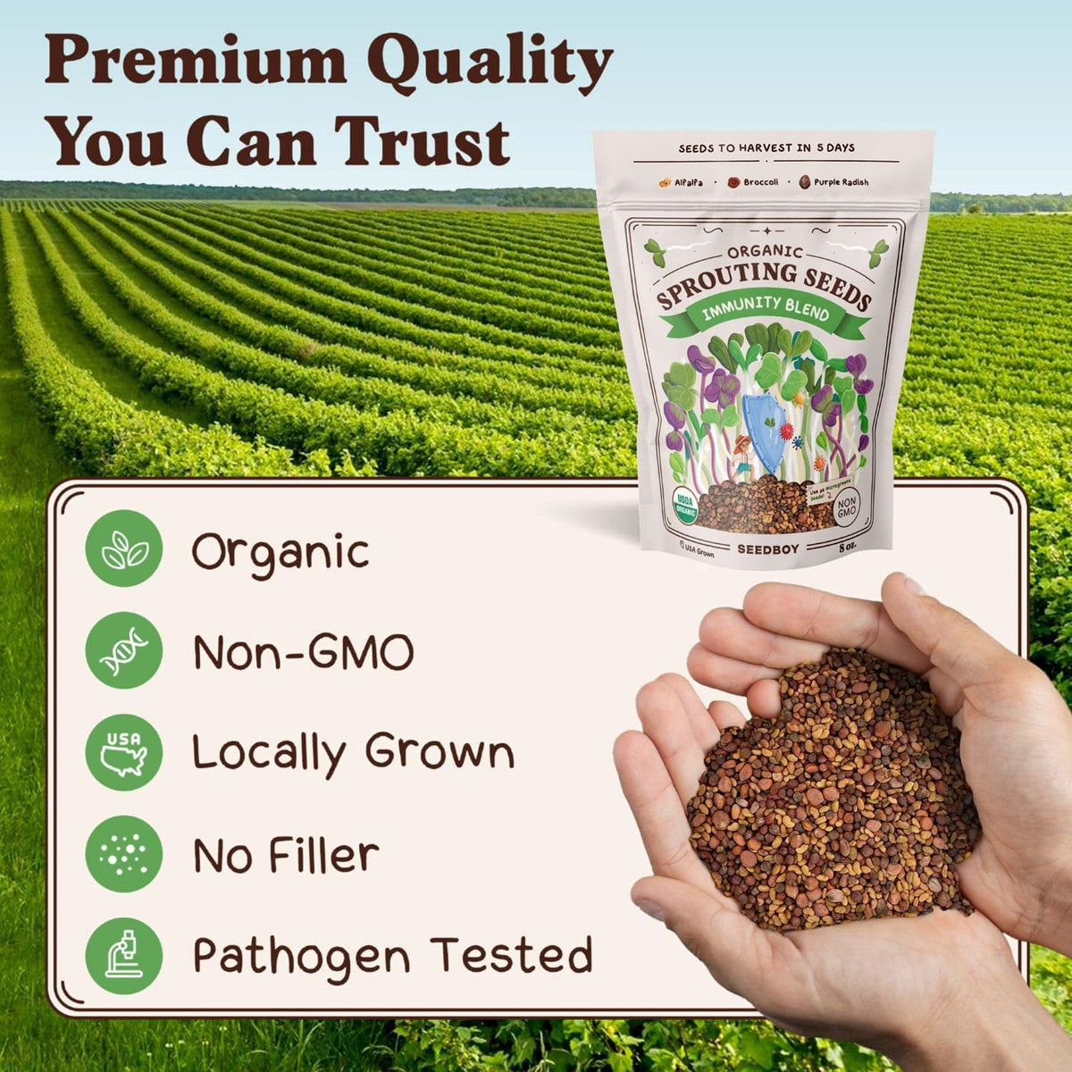 Seedboy Organic Non-GMO Sprouting Seeds, Immune System Booster - USA Grown Microgreens Mix with