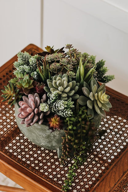 Artificial Succulent Plants Fake Assorted - 16 Pack - Unpotted Face Succulent Plants - Realistic