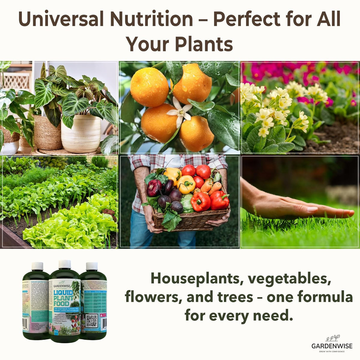 Organic Liquid Plant Food for Indoor Houseplants – All Purpose Fertilizer for Potted Plants