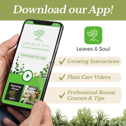 Professional Liquid Indoor Plant Fertilizer | 3-1-2 Concentrate for Plants and Flowers |