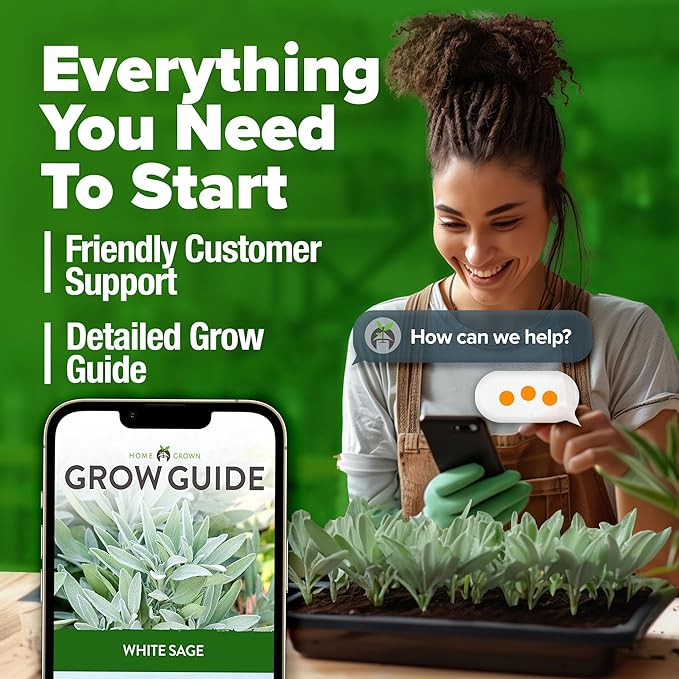 HOME GROWN 𝗨𝗦𝗔 𝗣𝗥𝗘𝗠𝗜𝗨𝗠 White Sage Seeds 323 Pack 𝗡𝗢𝗡-𝗚𝗠𝗢 Heirloom Seeds - Grow
