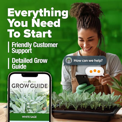 HOME GROWN 𝗨𝗦𝗔 𝗣𝗥𝗘𝗠𝗜𝗨𝗠 White Sage Seeds 323 Pack 𝗡𝗢𝗡-𝗚𝗠𝗢 Heirloom Seeds - Grow