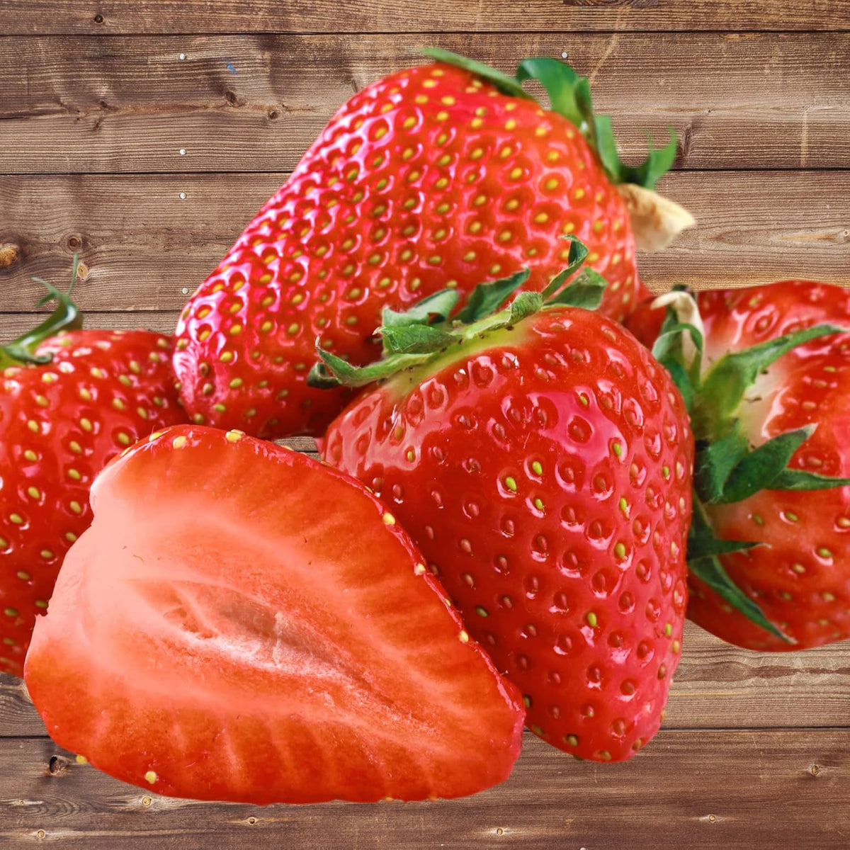Seascape Strawberry Plants - Great for Planters - Day Neutral (Heavy Producer) - Bare Root