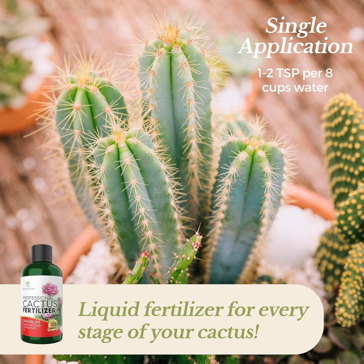 Professional Liquid Cactus Plant Fertilizer | 3-1-2 Concentrate for Flowering Plants |