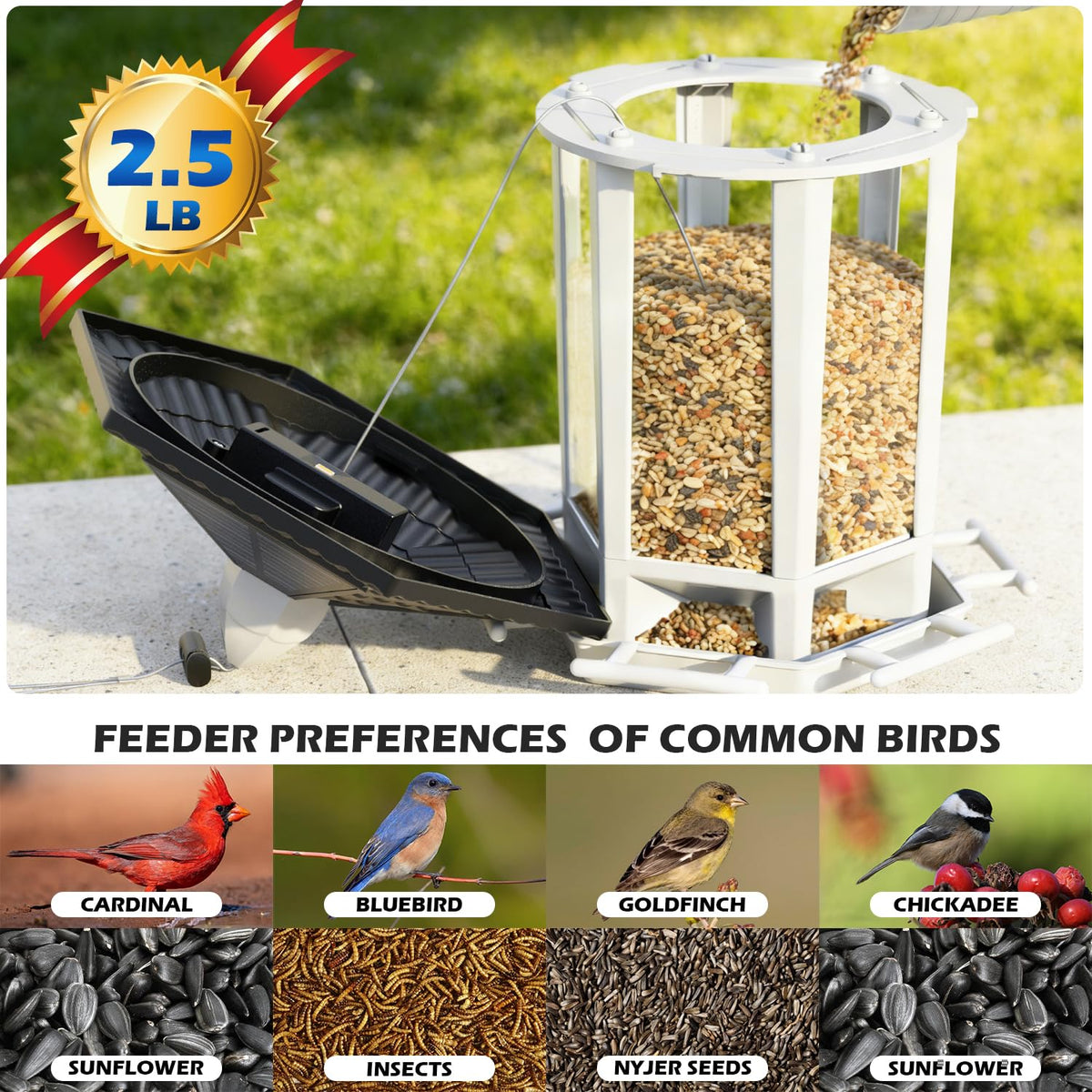 Birdream 2 Pack Solar Bird Feeders for Outdoors Hanging, Assembly Required, 1-Min Easy Setup, Wild
