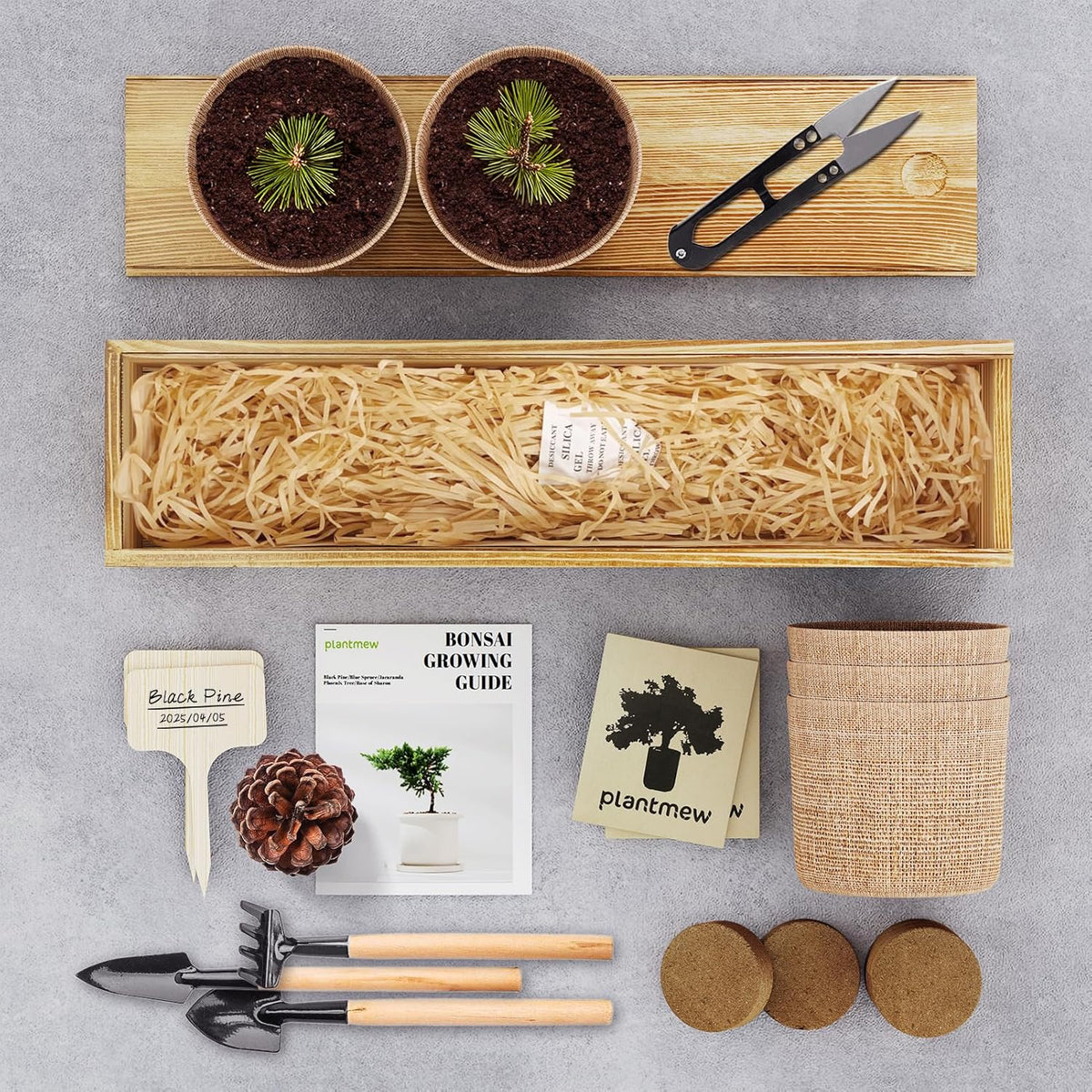 5 Pack Bonsai Tree Kit - Unique Gardening Gift Set for Plant Lovers | Complete Japanese Bonsai