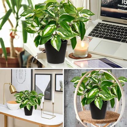 Artificial Plants Indoor Small Fake Plants in Pots Faux Pothos N‘ Joy Potted Plant Fake Indoor