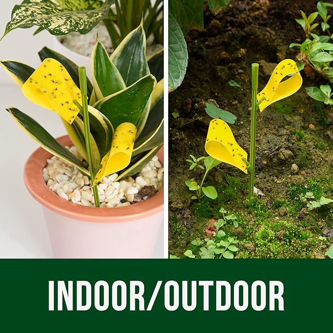 Garsum 21 Traps Sticky Houseplant Traps Gnat Yellow Insect Trap Indoor Fruit Fly Stakes Trap