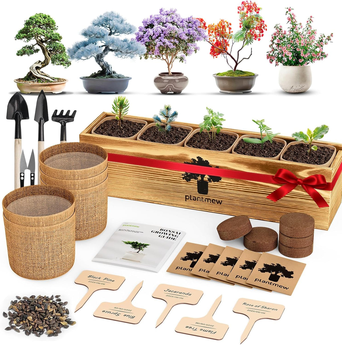 5 Pack Bonsai Tree Kit - Unique Gardening Gift Set for Plant Lovers | Complete Japanese Bonsai