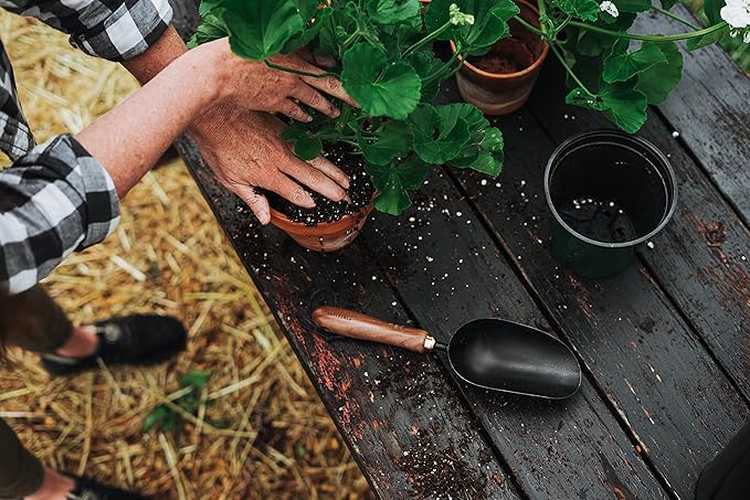 Barebones Garden Scoop - Garden Spoon - Stainless Steel Small Hand Shovel for Transplanting