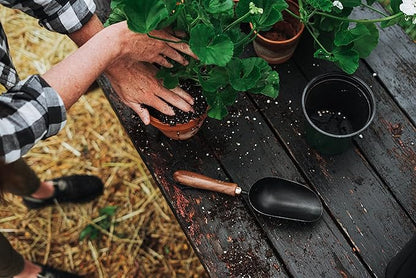 Barebones Garden Scoop - Garden Spoon - Stainless Steel Small Hand Shovel for Transplanting